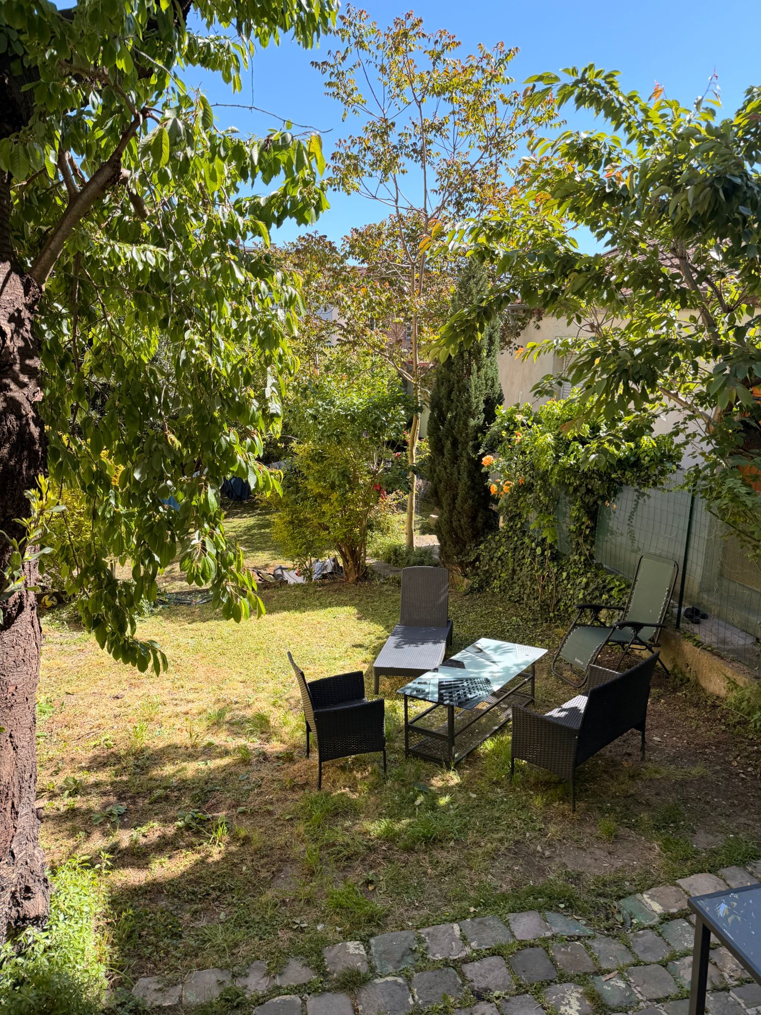 Jardin 6